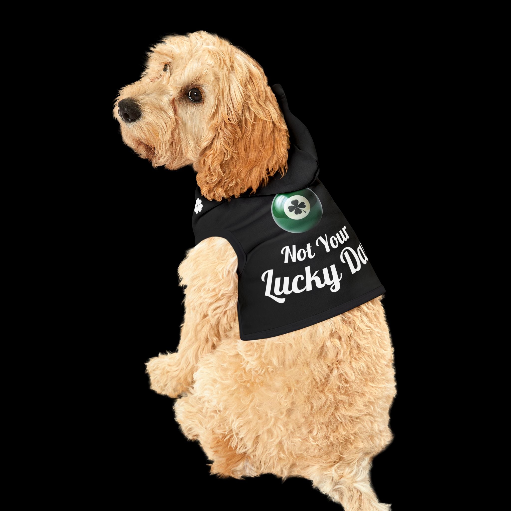 Bad Luck Club - Classic Pet Hoodie